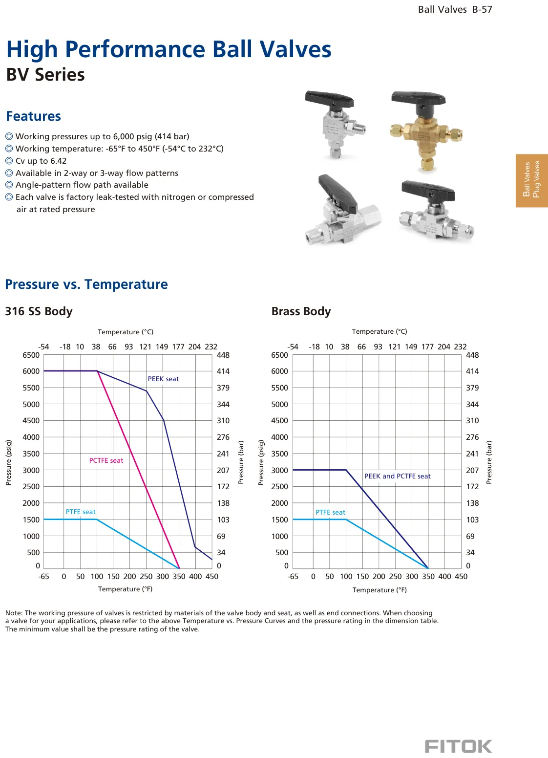 High Performance Ball Valves, BV Series (Catalog)